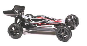 Gallery Photo: Integy 1/10 4wd Buggy